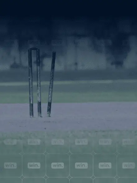 Background cricket